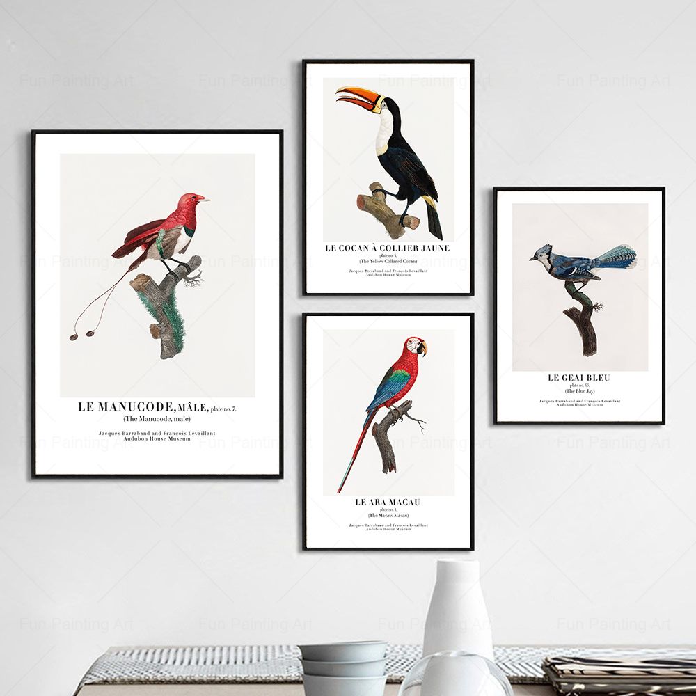 Vintage Paradise Bird cuadro s - Furniture Paradise & Hardware Ghaziabad Reviews reseña y precio