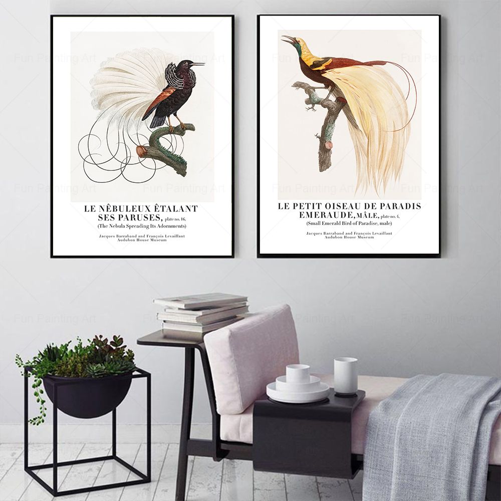 Vintage Paradise Bird cuadro s - Furniture Paradise & Hardware Ghaziabad Reviews reseña y precio