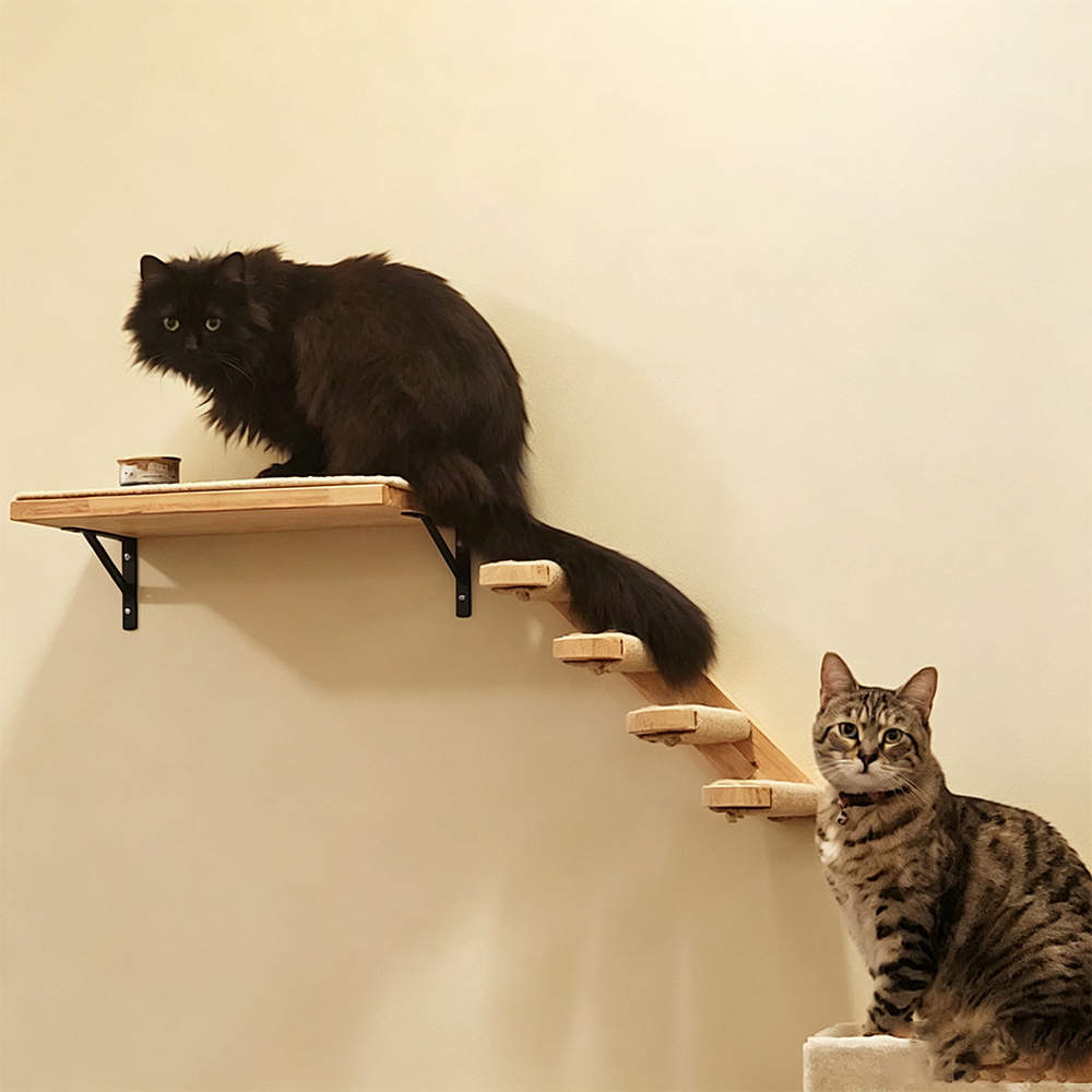 Muebles para Gatos, Puente Col - Furniture Paradise & Hardware Ghaziabad Reviews reseña y precio